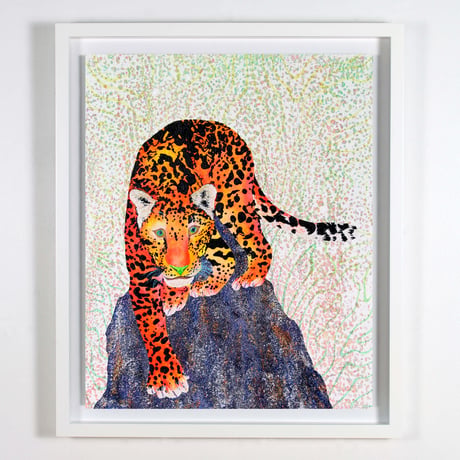 Orange Jaguar（オレンジジャガー）