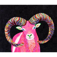 Purple Mouflon-Black ICHIMATSU（パープルムフロンー黒市松）
