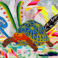 Vivid Season・Tortoise