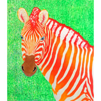 Shining Orange Zebra
