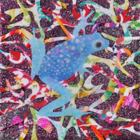 Vivid Season・Frog(Blue)