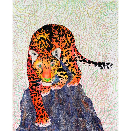Orange Jaguar（オレンジジャガー）