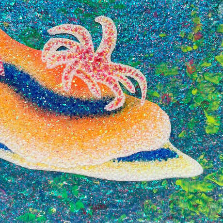 Blue line Sea slug（ブルーラインウミウシ）
