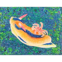 Blue line Sea slug（ブルーラインウミウシ）