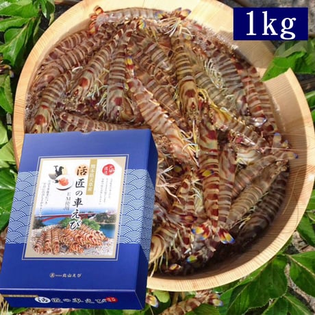 活き車えびMサイズ1kg