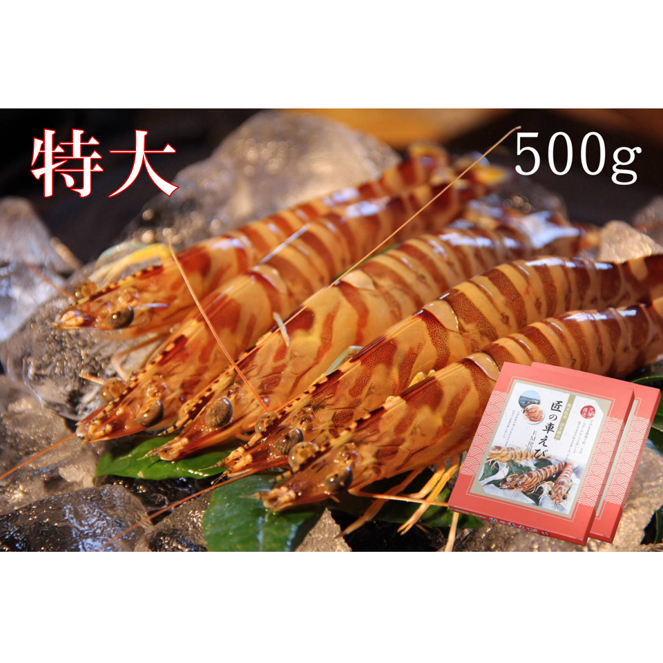 活き締め急速冷凍車えび （特大）500g | 株式会社丸山えび