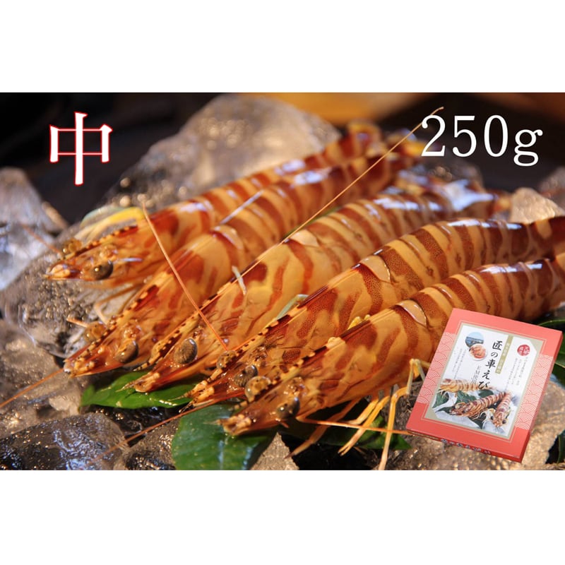 活き締め急速冷凍車えび （中）250g | 株式会社丸山えび