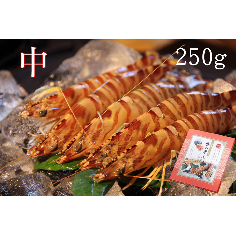 活き締め急速冷凍車えび （中）250g | 株式会社丸山えび