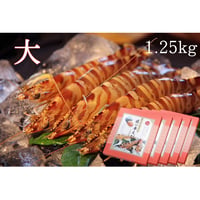 活き締め急速冷凍車えび  （大）1.25kg
