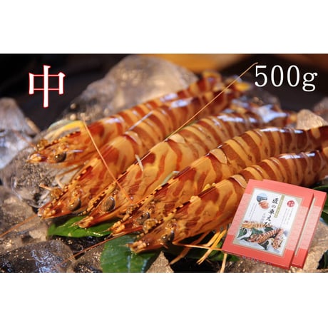 活き締め急速冷凍車えび  （中）500g