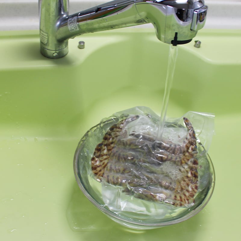 活き締め急速冷凍車えび （特大）500g | 株式会社丸山えび