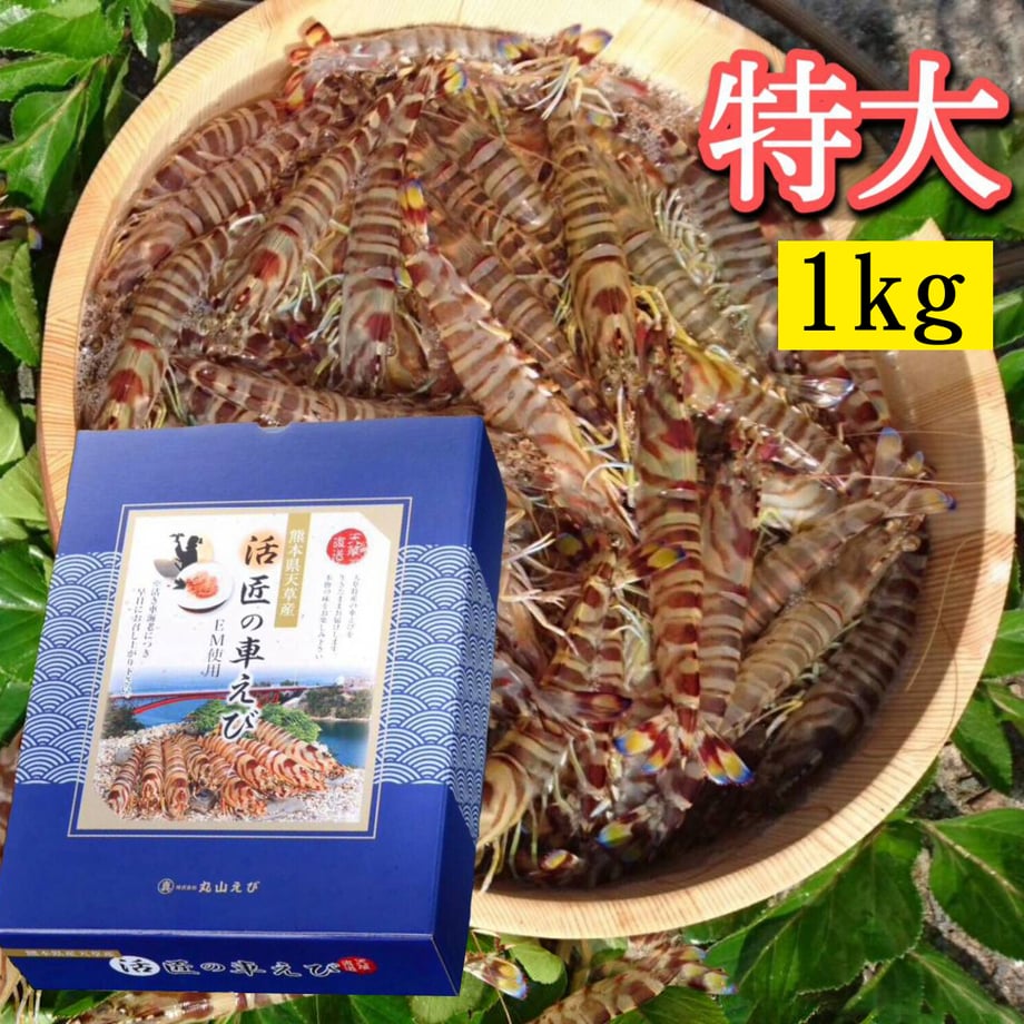 5e9dacafcee9ea483a291540