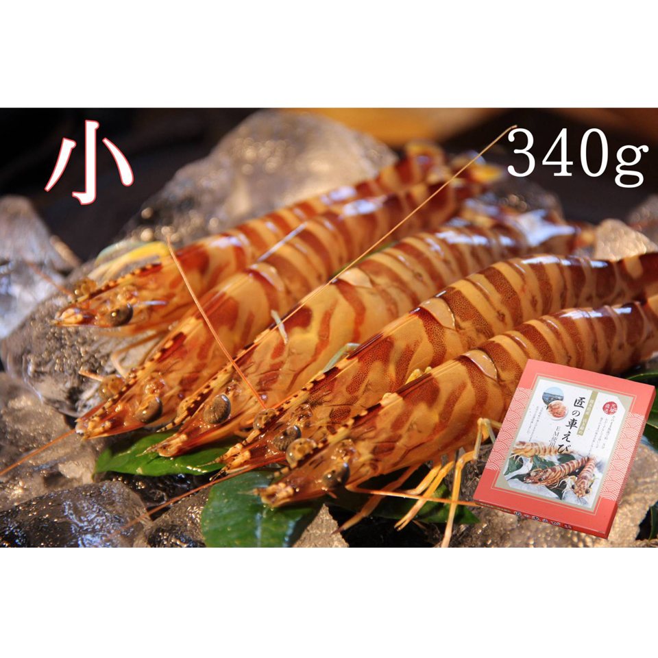 えびやま太郎様 お見積もり 活き締め急速冷凍車えび （小）300g | 株式会社丸山えび