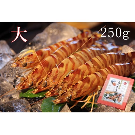 活き締め急速冷凍車えび  （大）250g