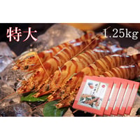 活き締め急速冷凍車えび  （特大）1.25kg