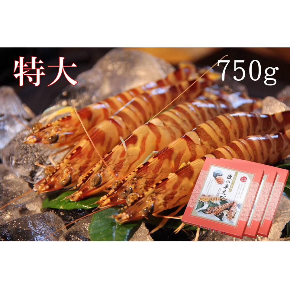 活き締め急速冷凍車えび （特大）750g | 株式会社丸山えび