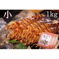 活き締め急速冷凍車えび （特大）750g | 株式会社丸山えび