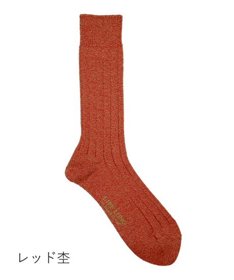 TS-1