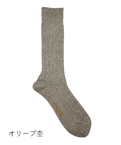 TS-1