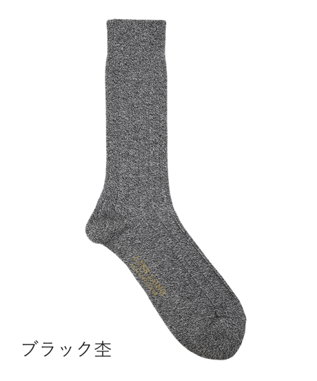 TS-1