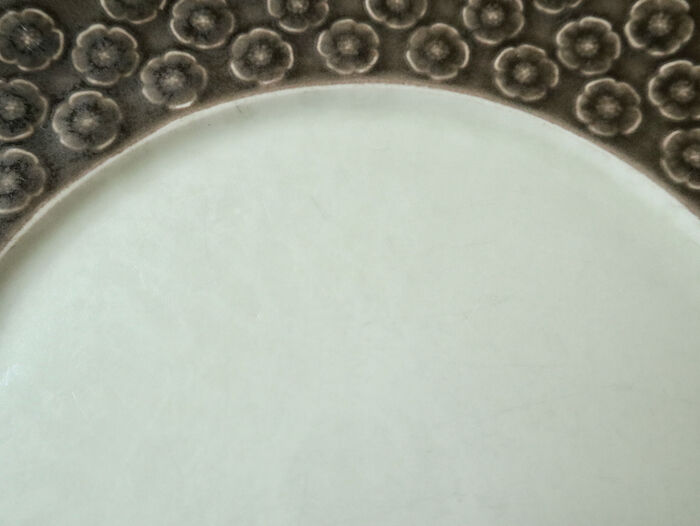 クイストゴー アズール ブラウン ディナープレート | Loppehopper