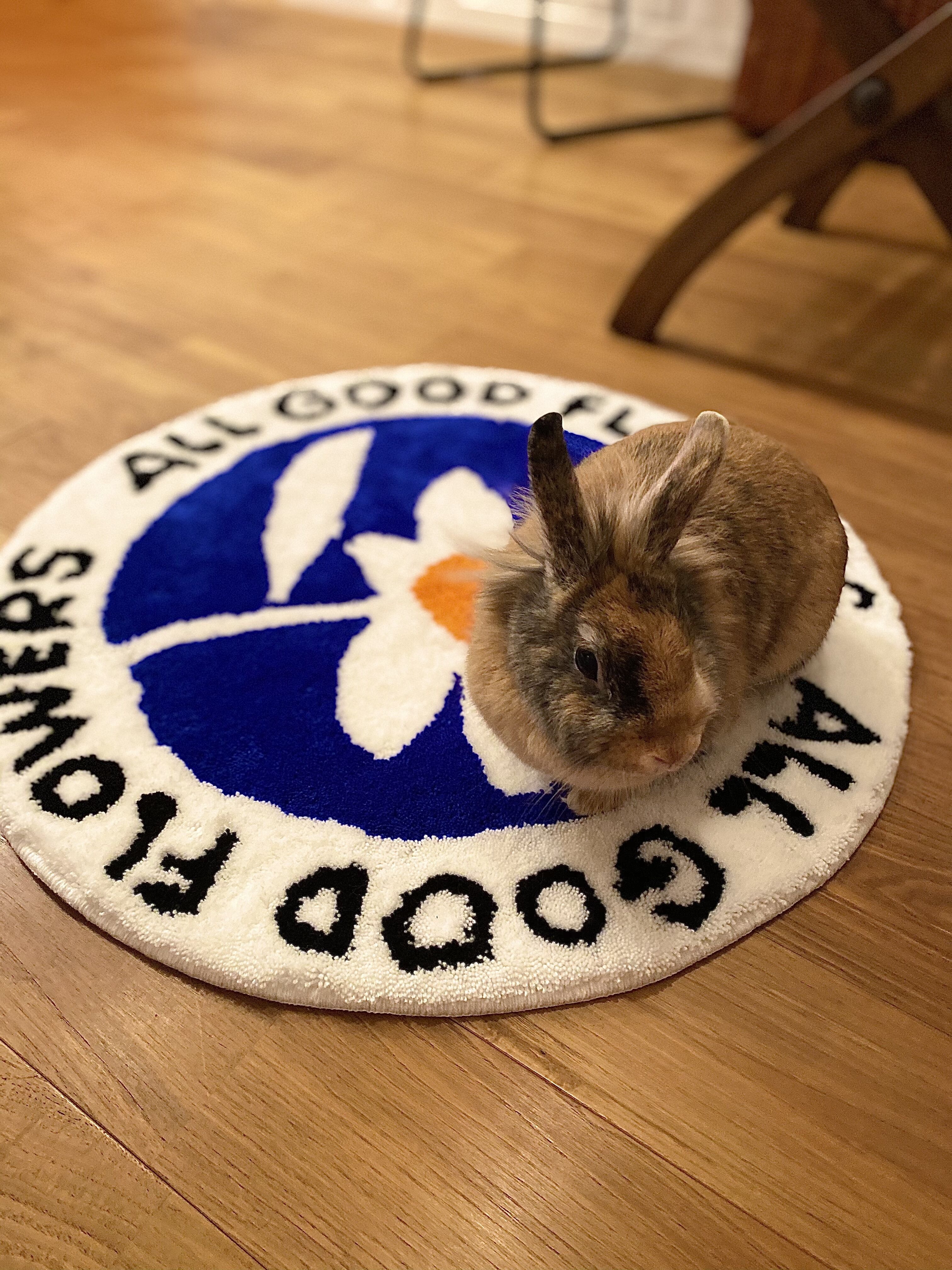 ラグ・カーペット ALL GOOD FLOWERS ALL GOOD RUG 3 original