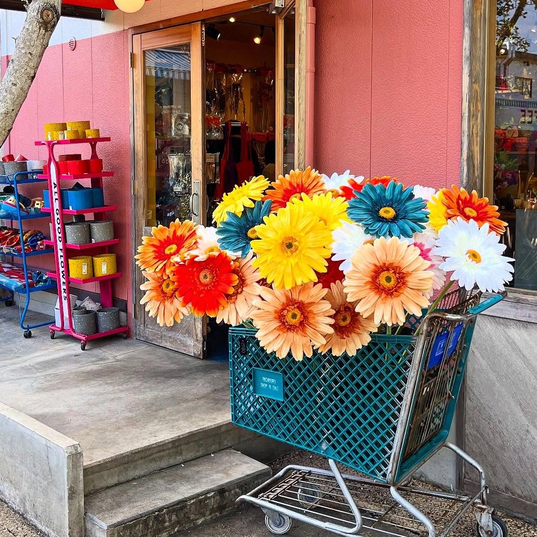 jumbo flower gerbera （ガーベラ） | ALL GOOD FLOWERS