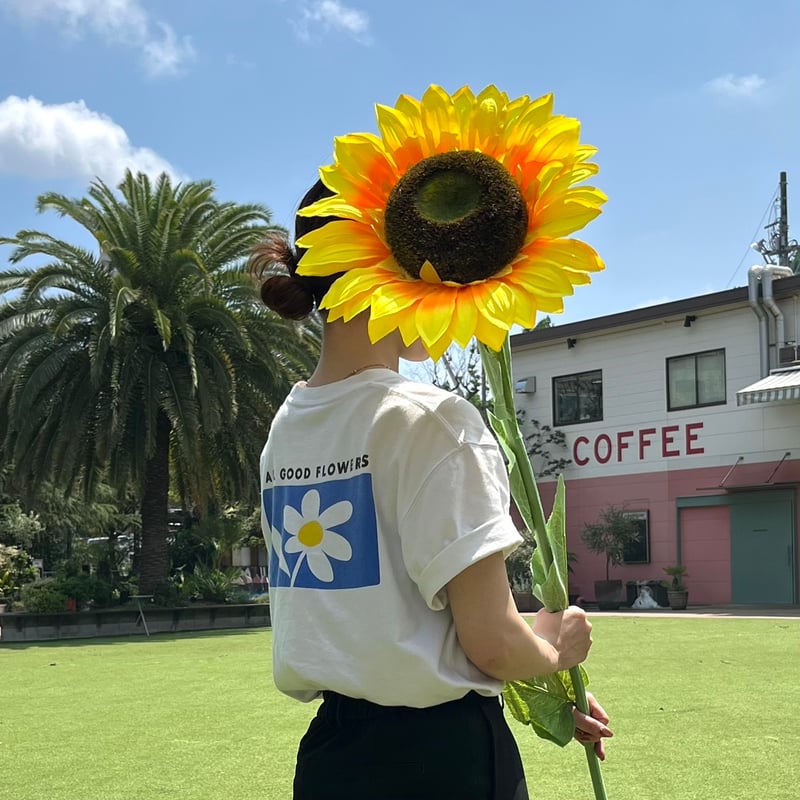 【Y】2点　ひまわり様 Y】2点 ひまわり様 ひまわり様♡ ひまわり様 Amazon.co.jp