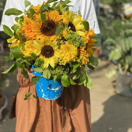 ♯iom13ALシューフルールchou-fleurハッピーアソート全6種 ALL GOOD FLOWERS STORE