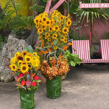 IWAI arrangement