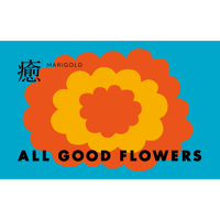 花言葉 bouquet 癒し M（両手で持てるお花束）
