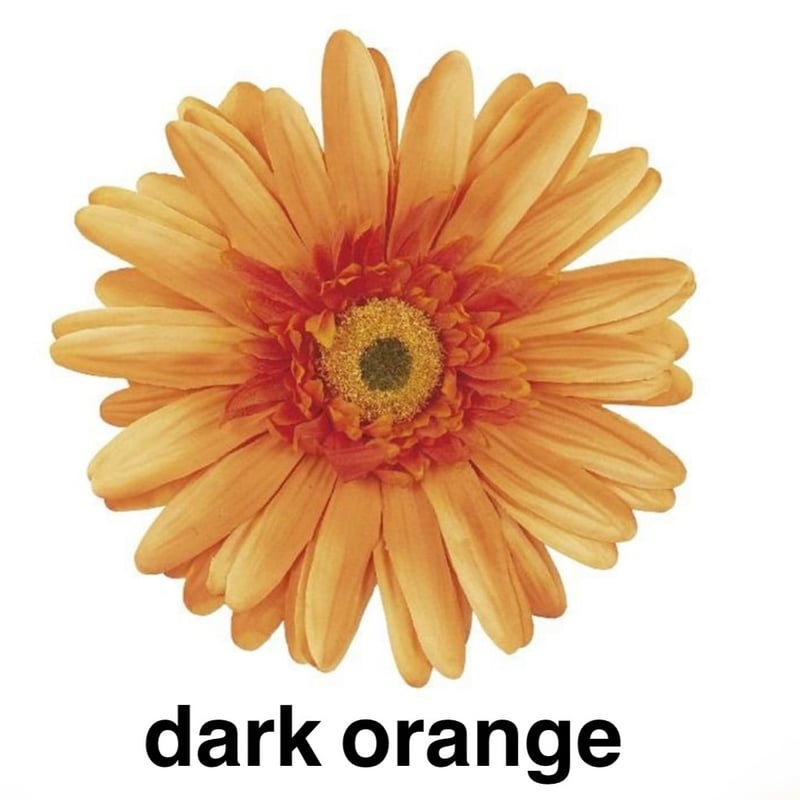 ガーベラ jumbo flower gerbera （ガーベラ） | ALL GOOD FLOWERS
