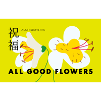 花言葉 bouquet 祝福 M（両手で持てるお花束）