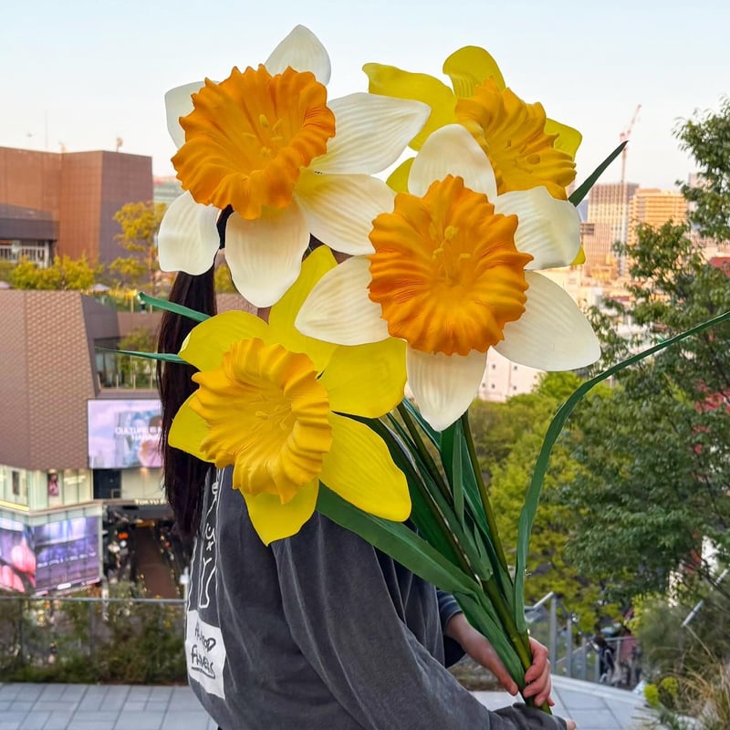 お花A4サイズです。 jumbo flower daffodil（スイセン） | ALL GOOD FLOWERS