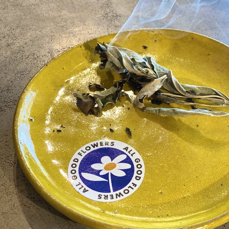 white sage | ALL GOOD FLOWERS STORE