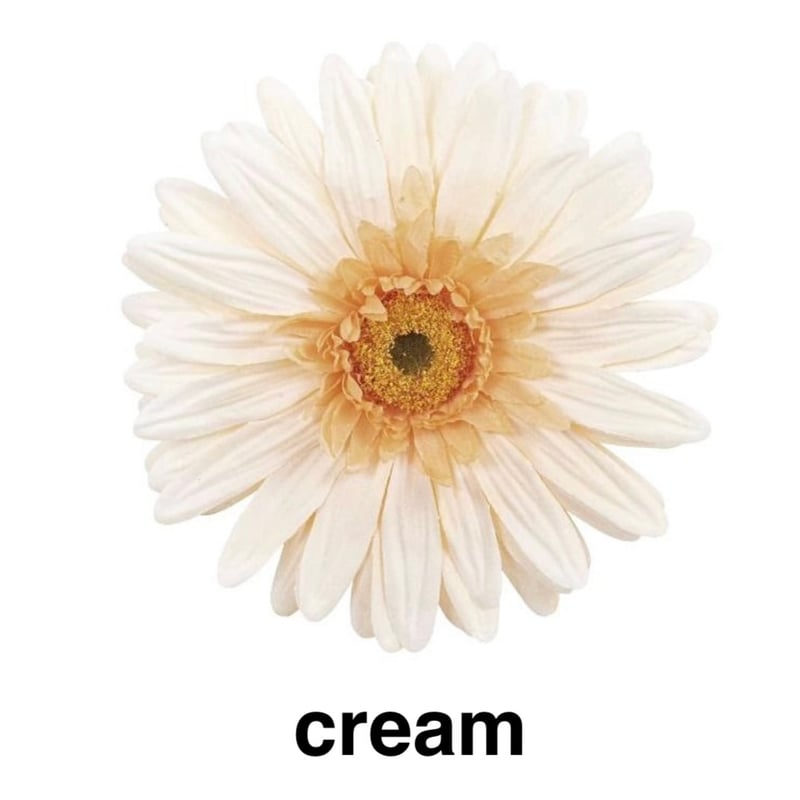 jumbo flower gerbera （ガーベラ） | ALL GOOD FLOWERS