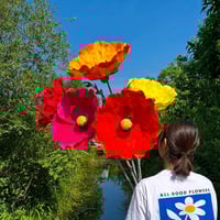 ALL GOOD RUG 2 | ALL GOOD FLOWERS STORE