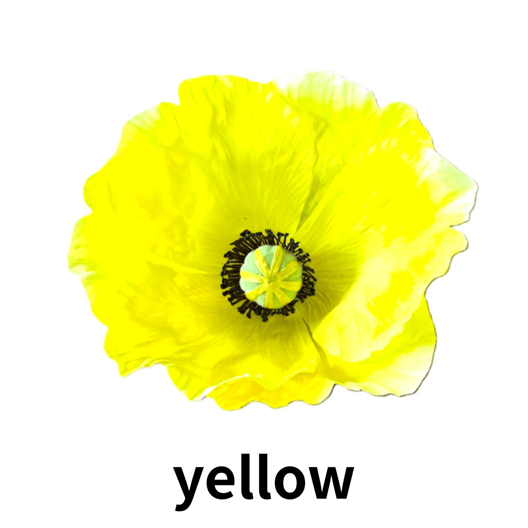 アップルパイページ　オールグッドフラワーズ　ジャンボフラワー All Good Flower ジャンボフラワー | TikTok