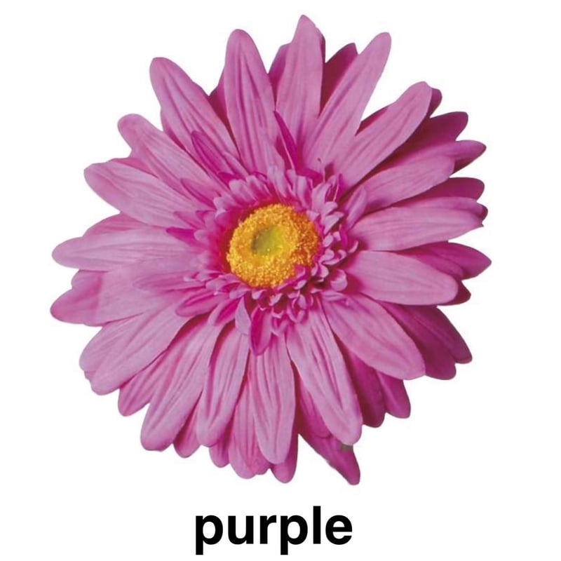 jumbo flower gerbera （ガーベラ） | ALL GOOD FLOWERS