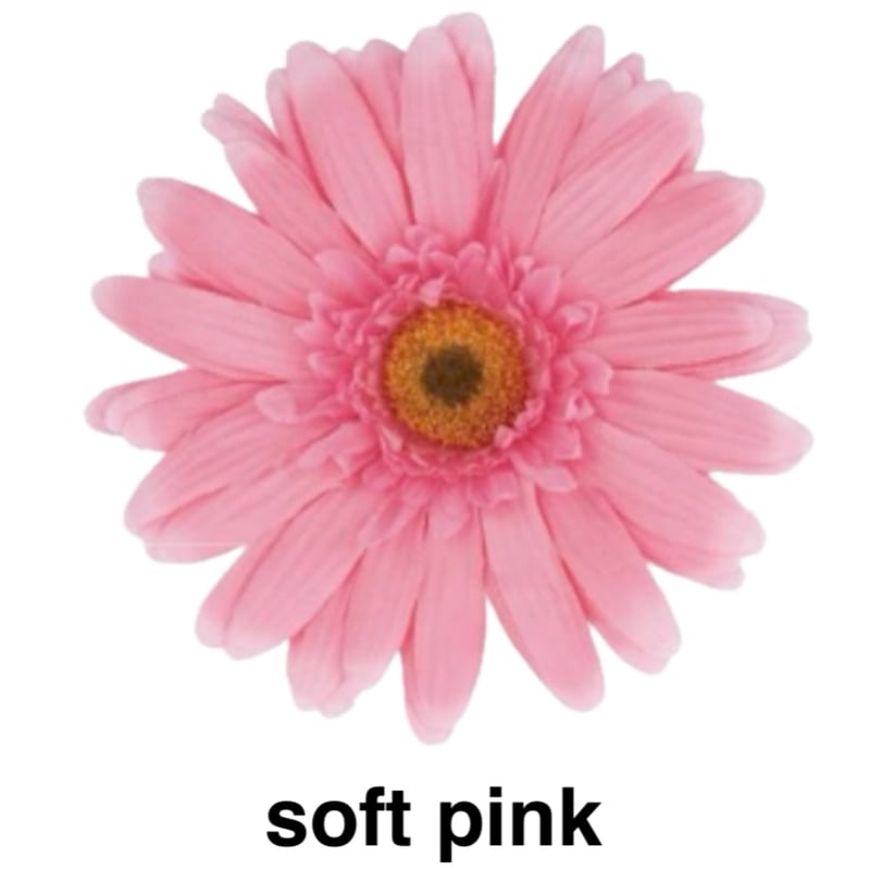 フラワー・ガーデニング htrurujrt jumbo flower gerbera （ガーベラ） | ALL GOOD FLOWERS