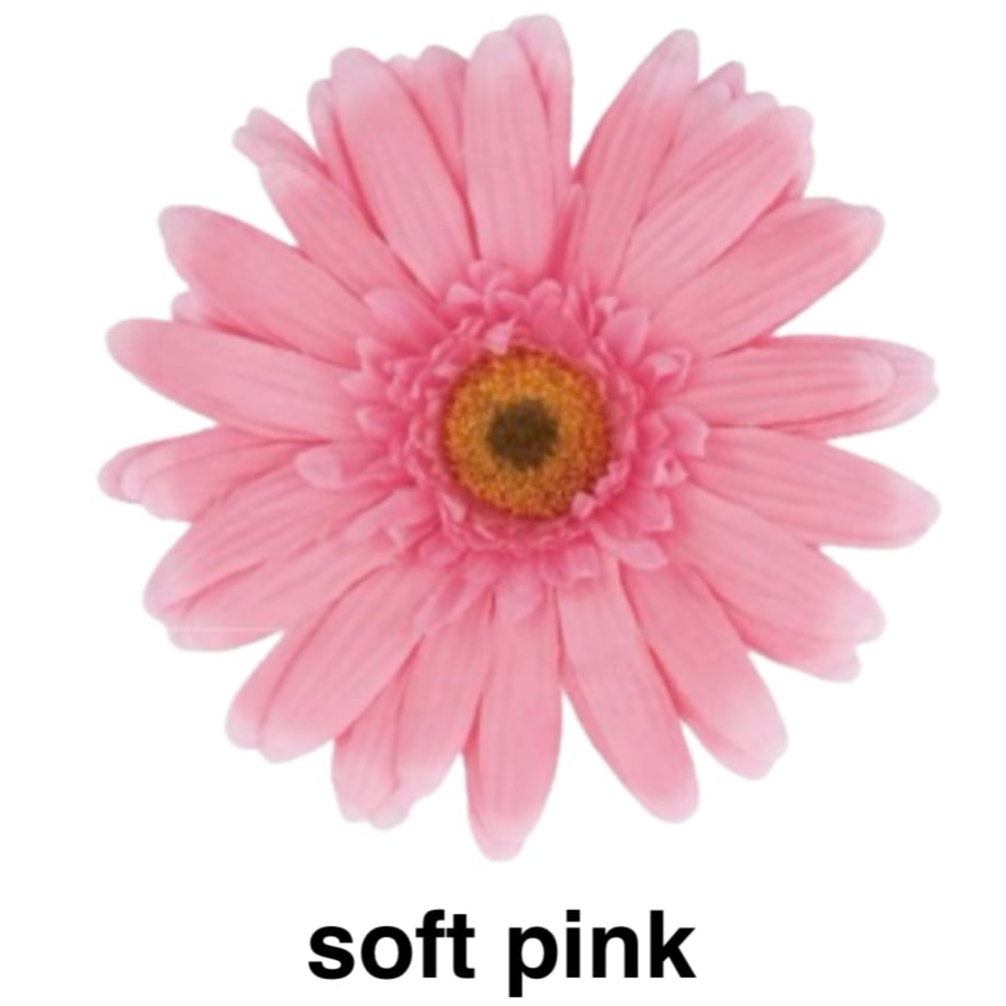 jumbo flower gerbera （ガーベラ） | ALL GOOD FLOWERS