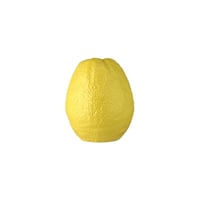 FRUITS VASE lemon S