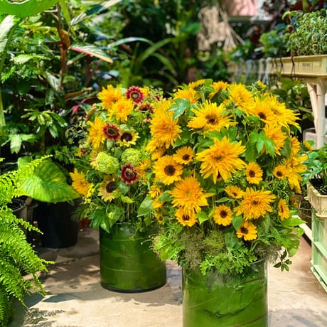 IWAI arrangement