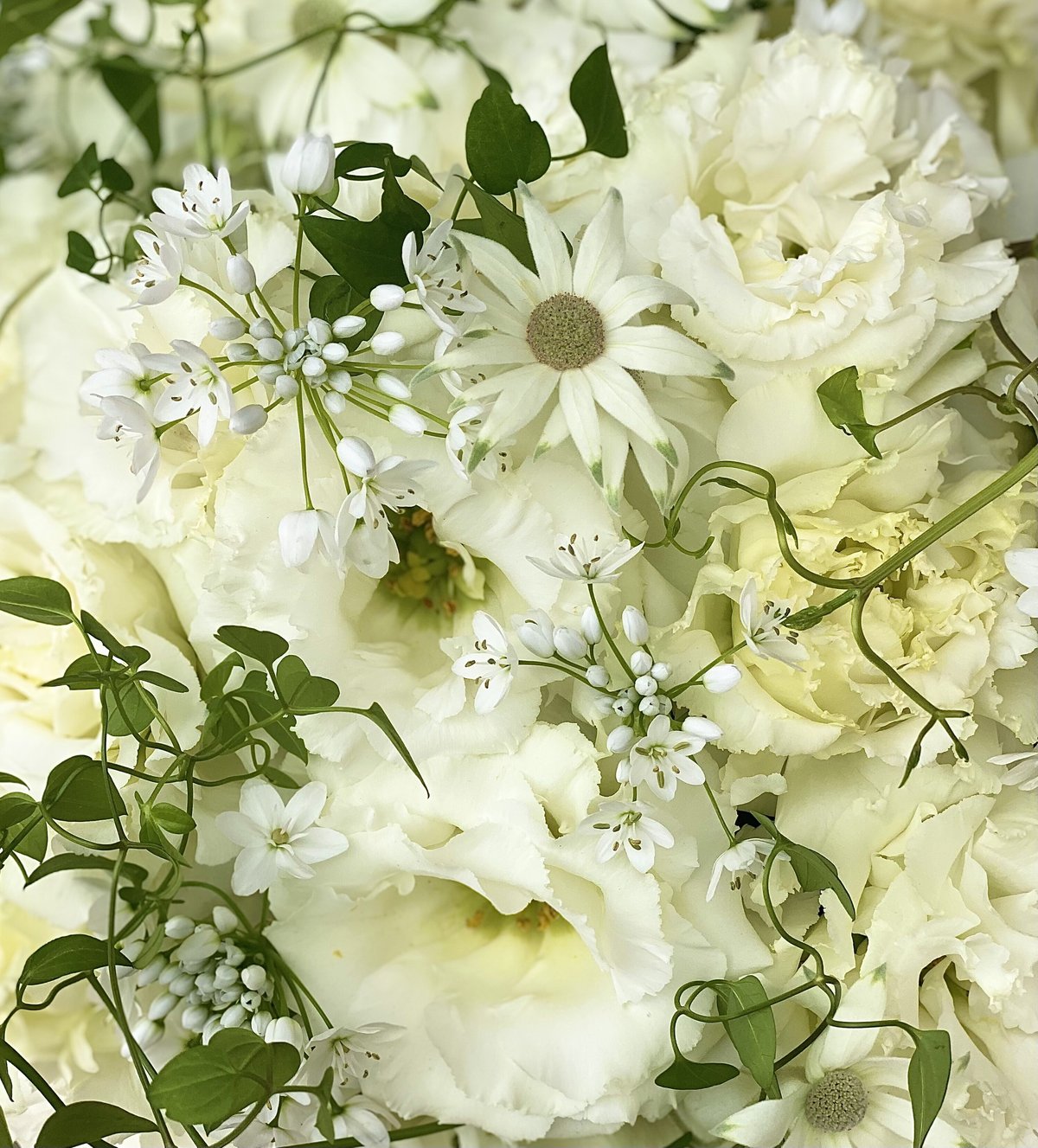 Flower Garden Teatime OP ミント Flower Garden Teatime OP ミント