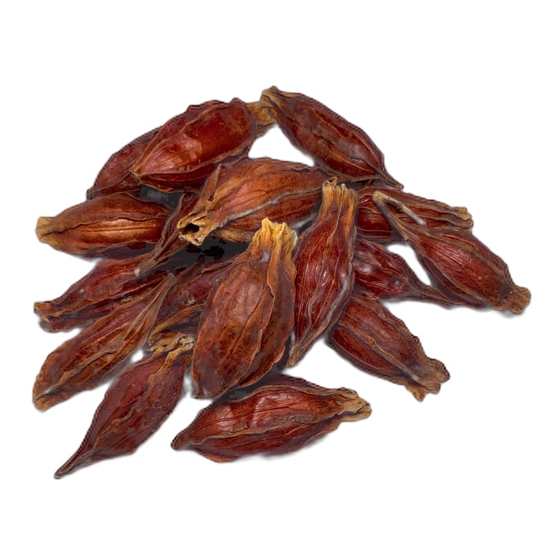 山梔子（クチナシの実）50g［清熱類］ | ミヂカナ薬局オンラインストア