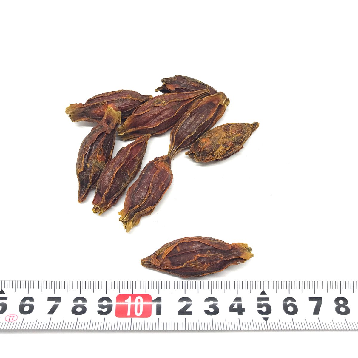 山梔子（クチナシの実）50g［清熱類］ | ミヂカナ薬局オンラインストア