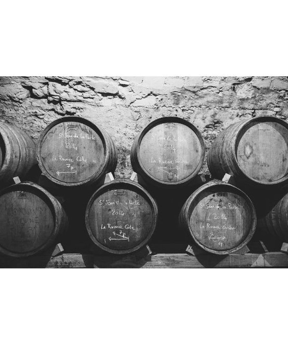 5ec8bcf055fa035d6bf3ea2e