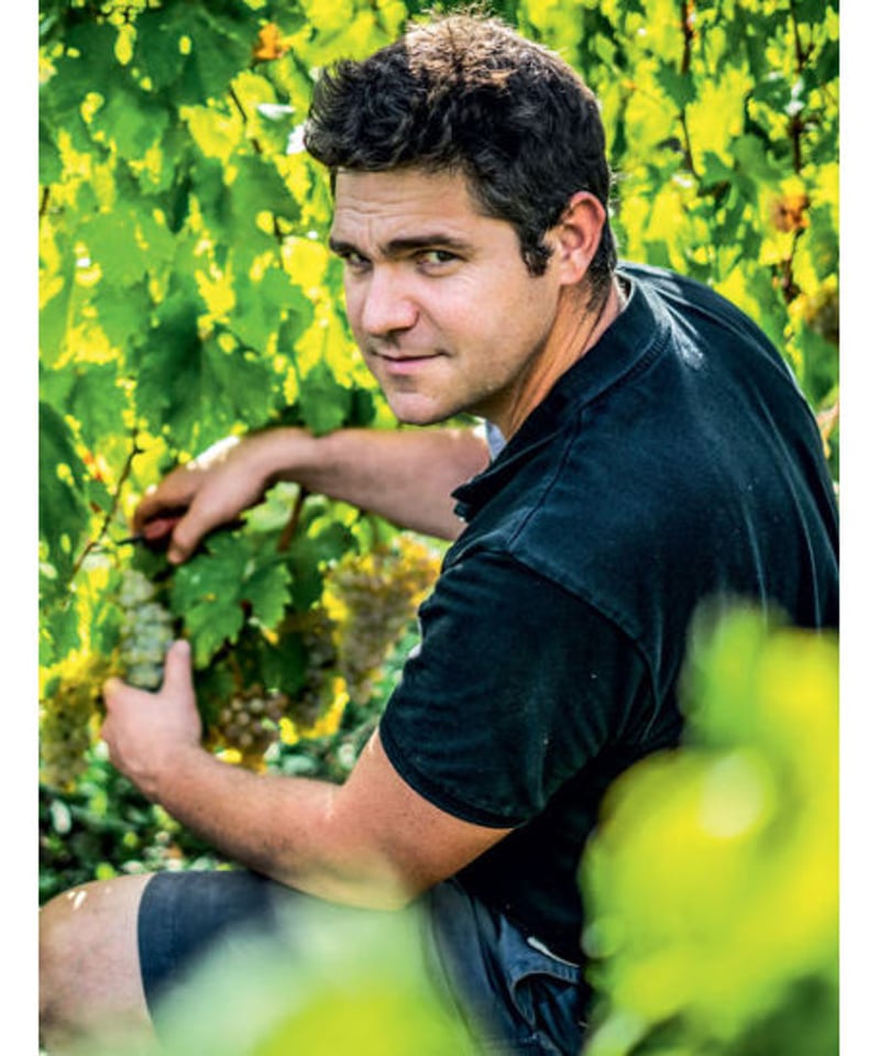 ドメーヌ・ド・シュヴィヤール ジャケール Jacquère 2022 750ml