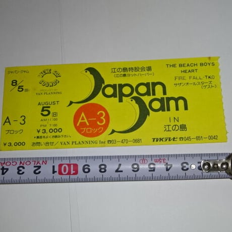 檄レア！GREEN DAY 1994年コンサート半券 檄レア！GREEN DAY 1994年コンサート半券