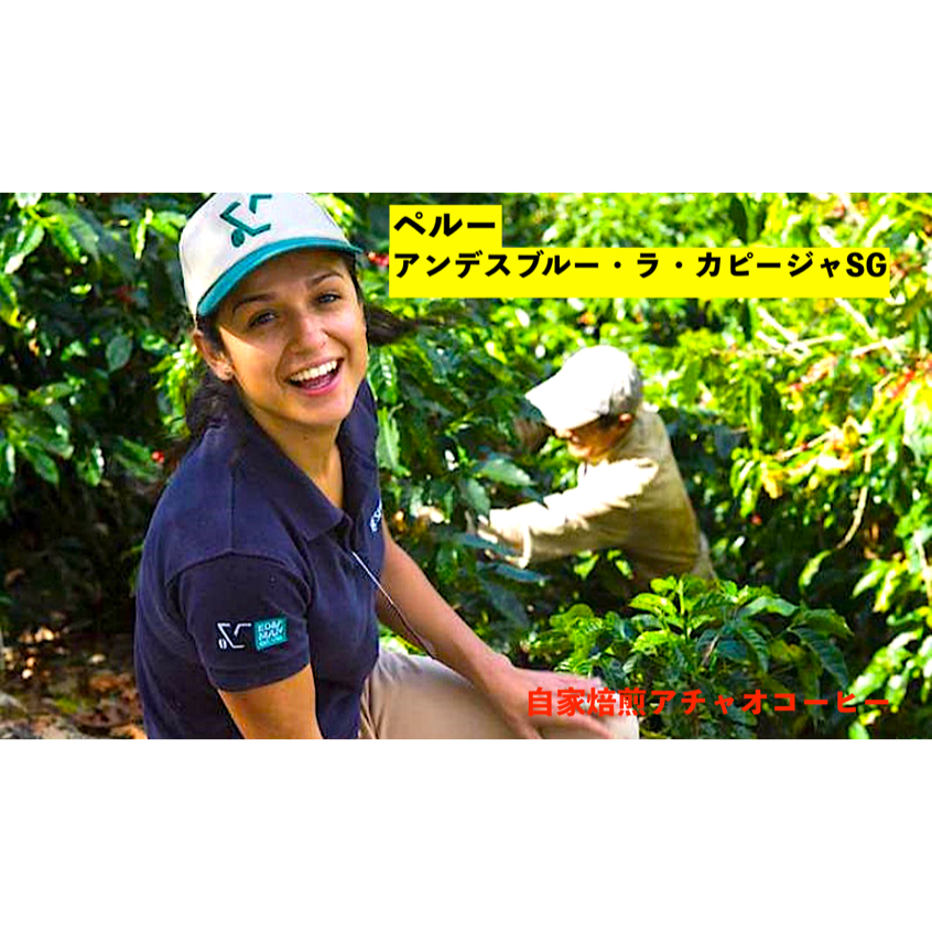 インカの恵み ペルー アンデスブルー ラ・カピージャ SG | 自家焙煎